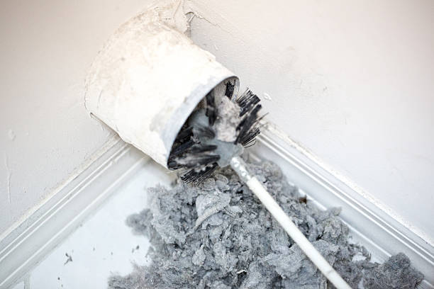 Best Professional Duct Cleaning Services  in Newington, VA